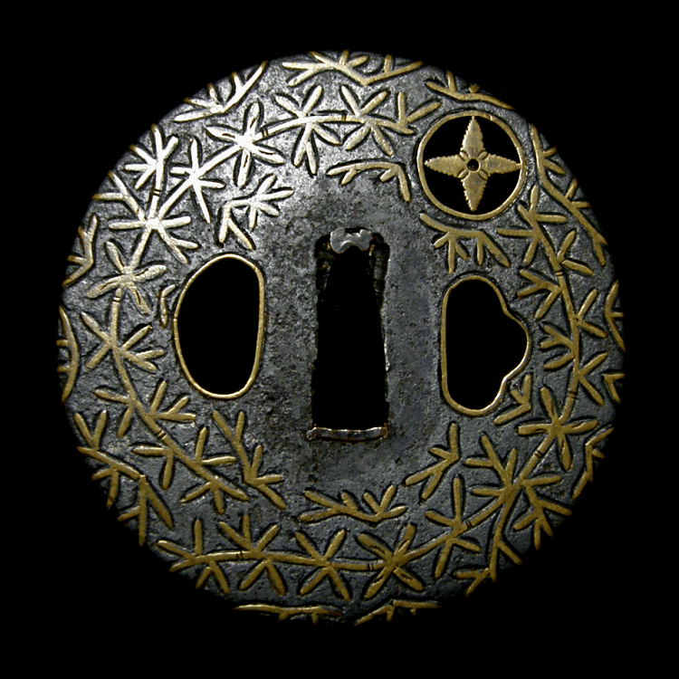 Family Crests and Algae
